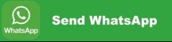 Send WA button